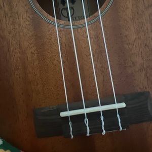 Meet your Posher, Jeff